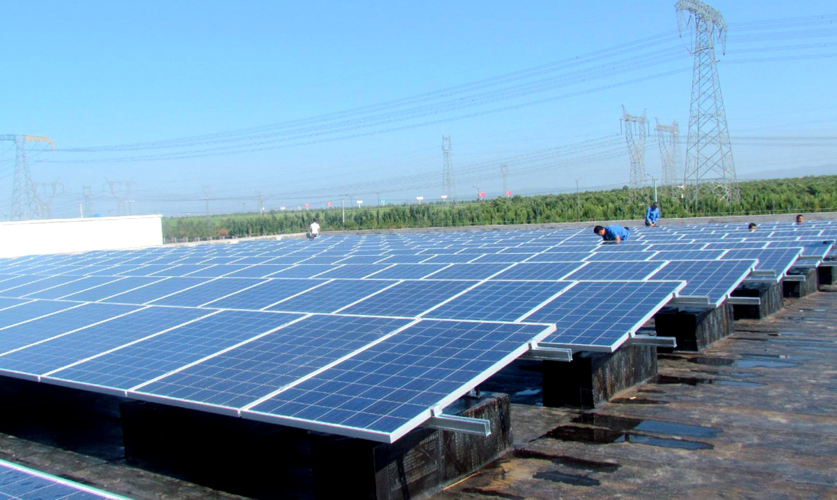 金太陽項(xiàng)目